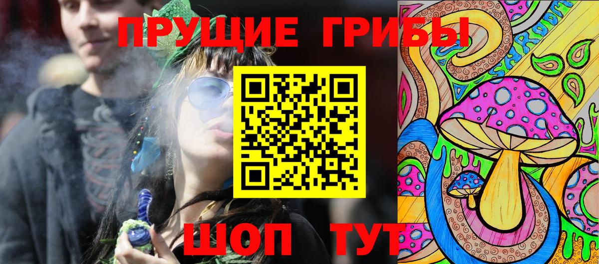 Галлюциногенные грибы Psilocybine cubensis  Вход с VPN  Шебекино 